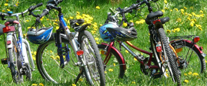 Location de vélo Mont Saint Michel